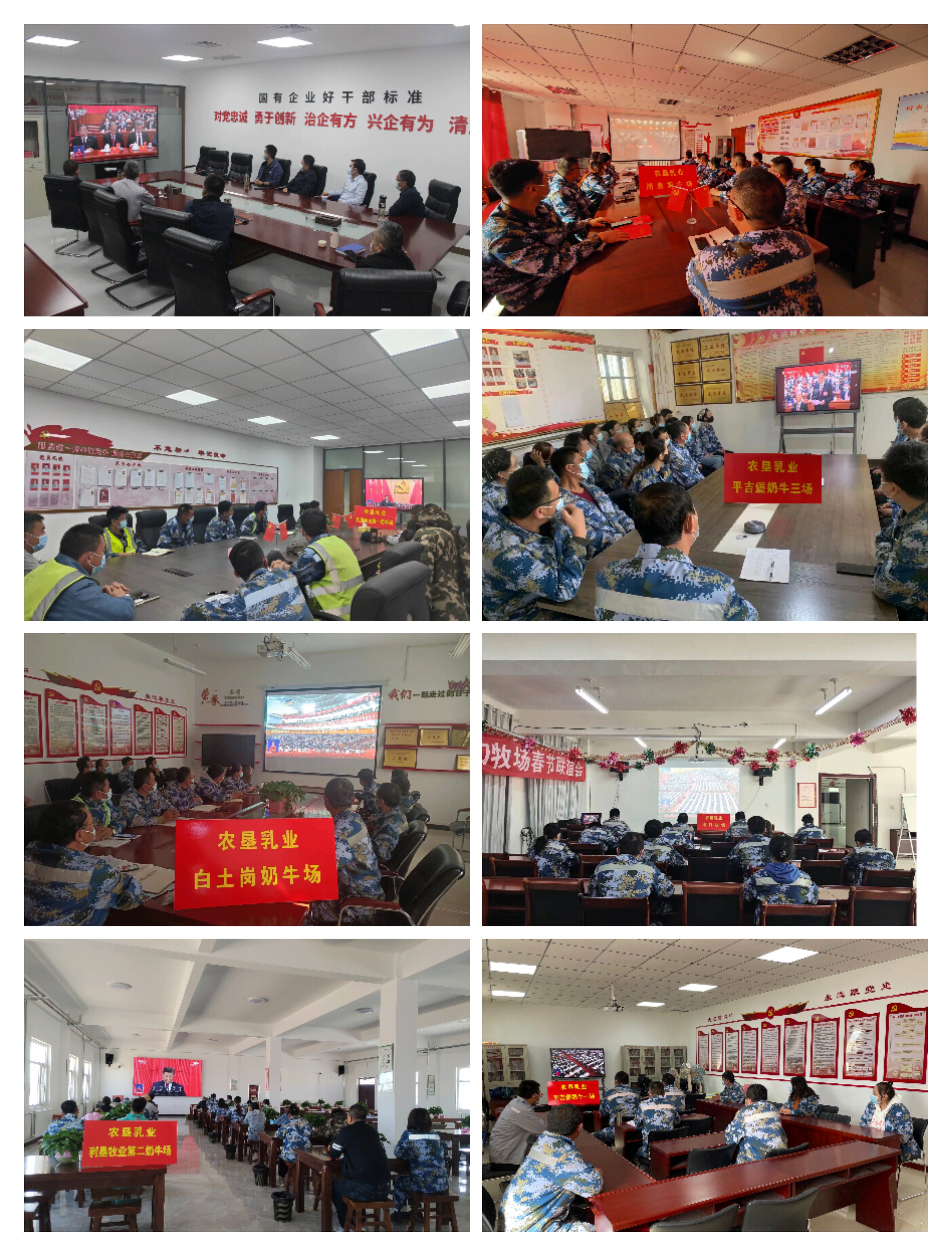 拼图 乳业公司观看党的二十大直播实况照片.jpg