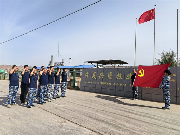 兴垦牧业党支部升国旗.jpg 兴垦牧业党支部升国旗.jpg