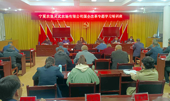 未命名-3.png