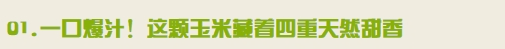 15.png