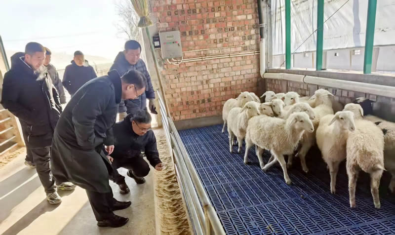 微信图片_20250208171033.jpg 微信图片_20250208171033.jpg