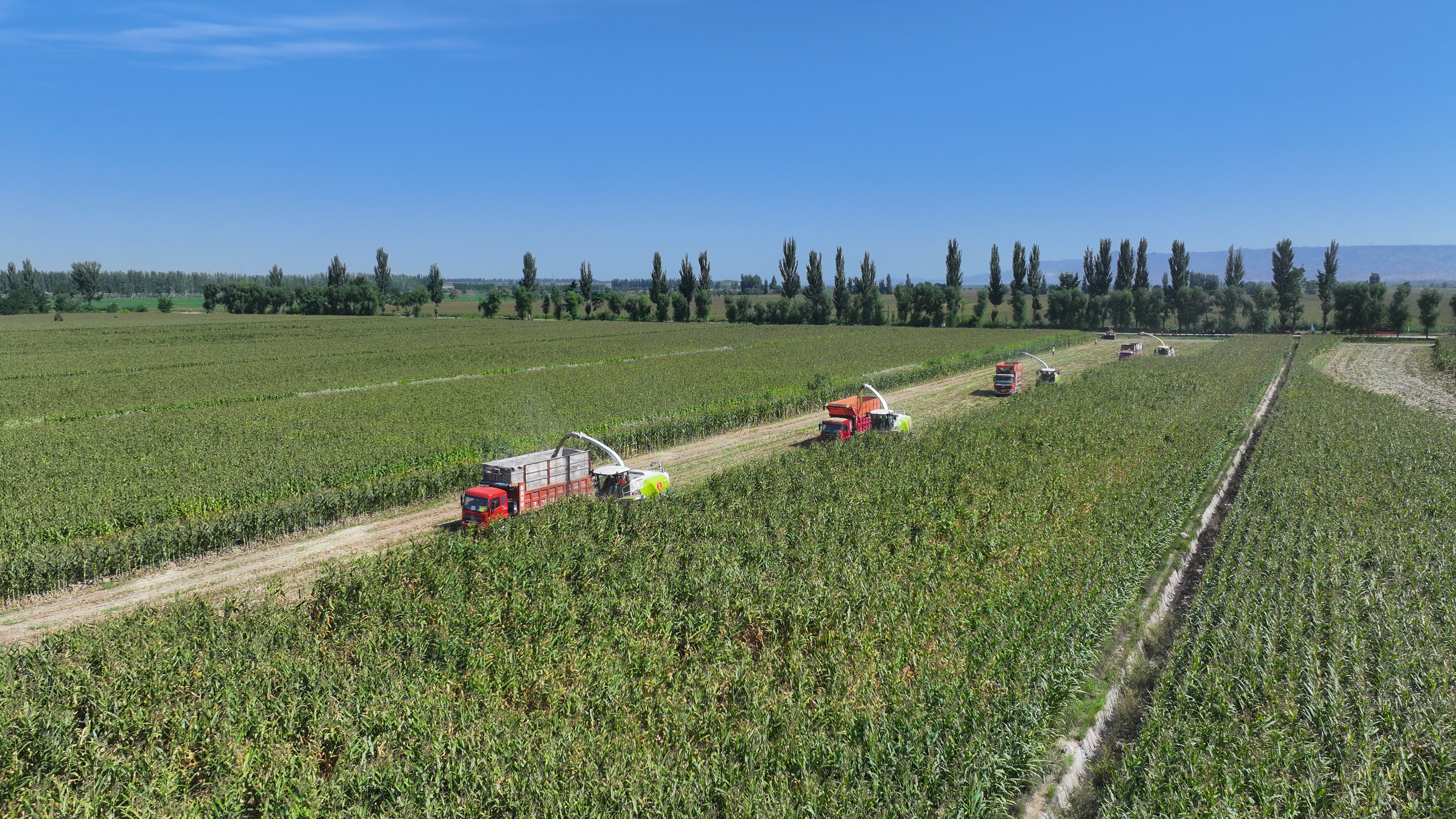 DJI_20240821085344_0076_D.JPG