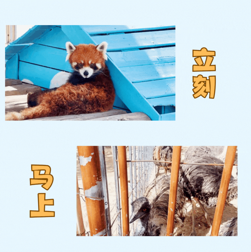 2.gif