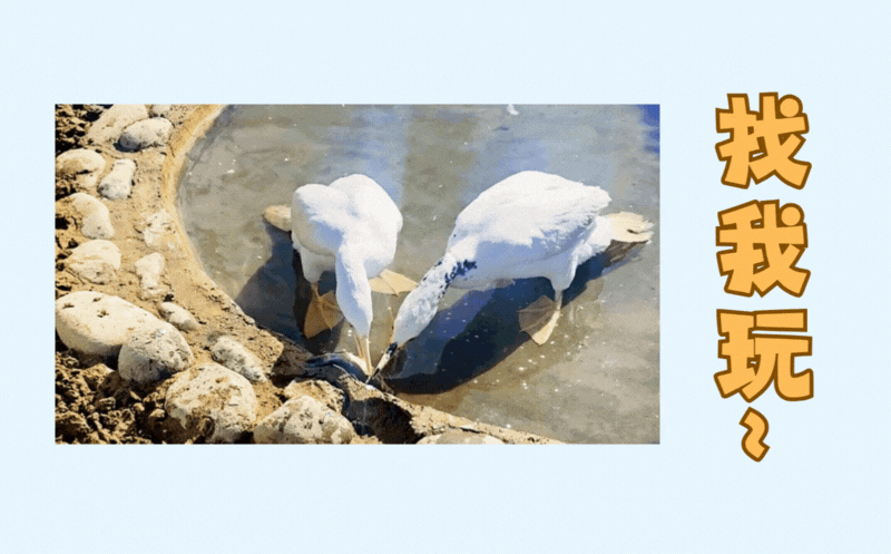3.gif
