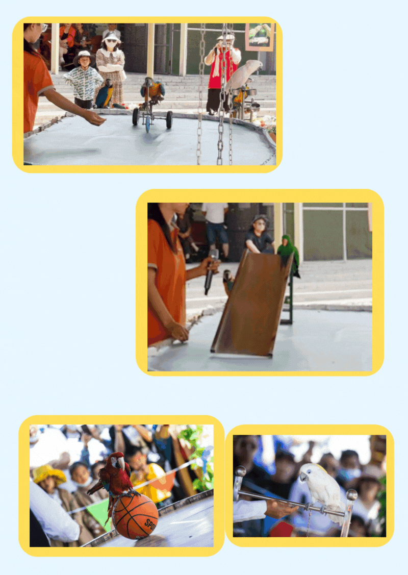 4.gif