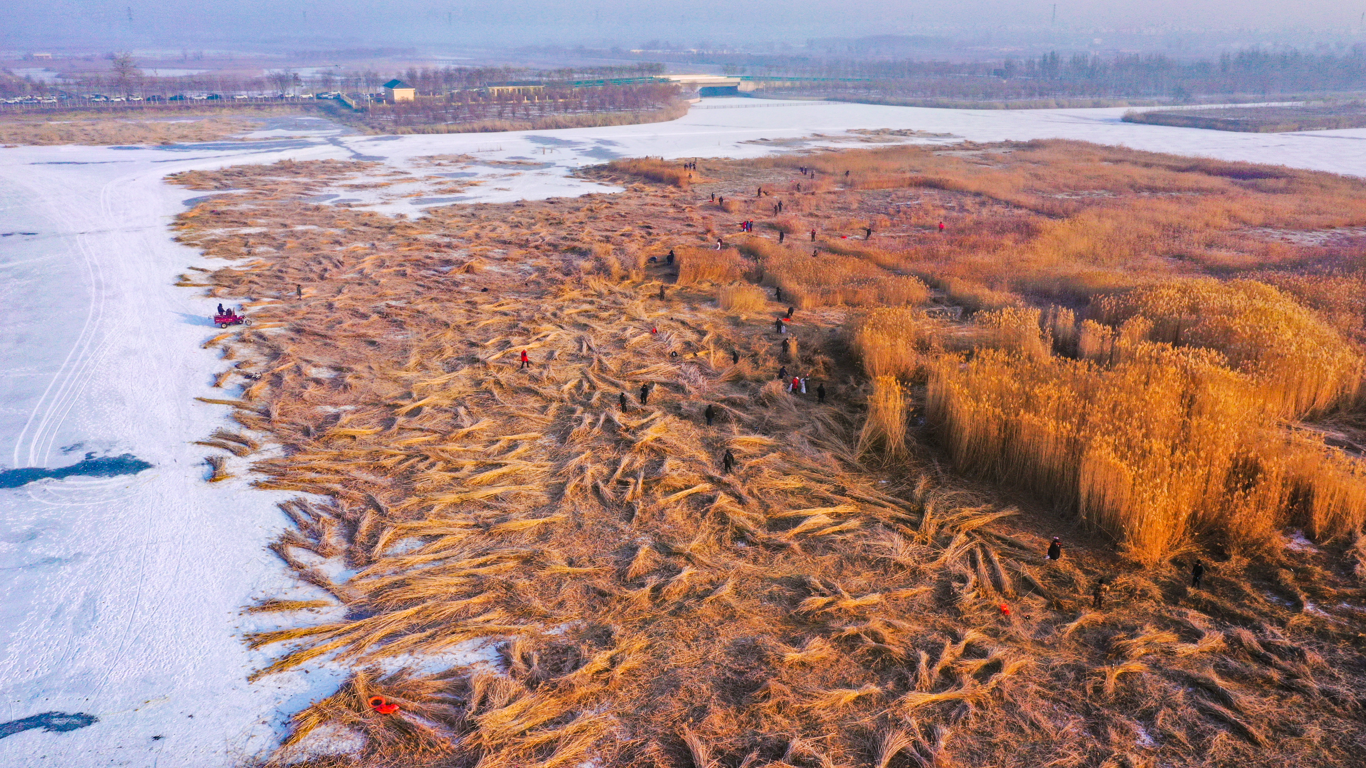 DJI_0389.jpg