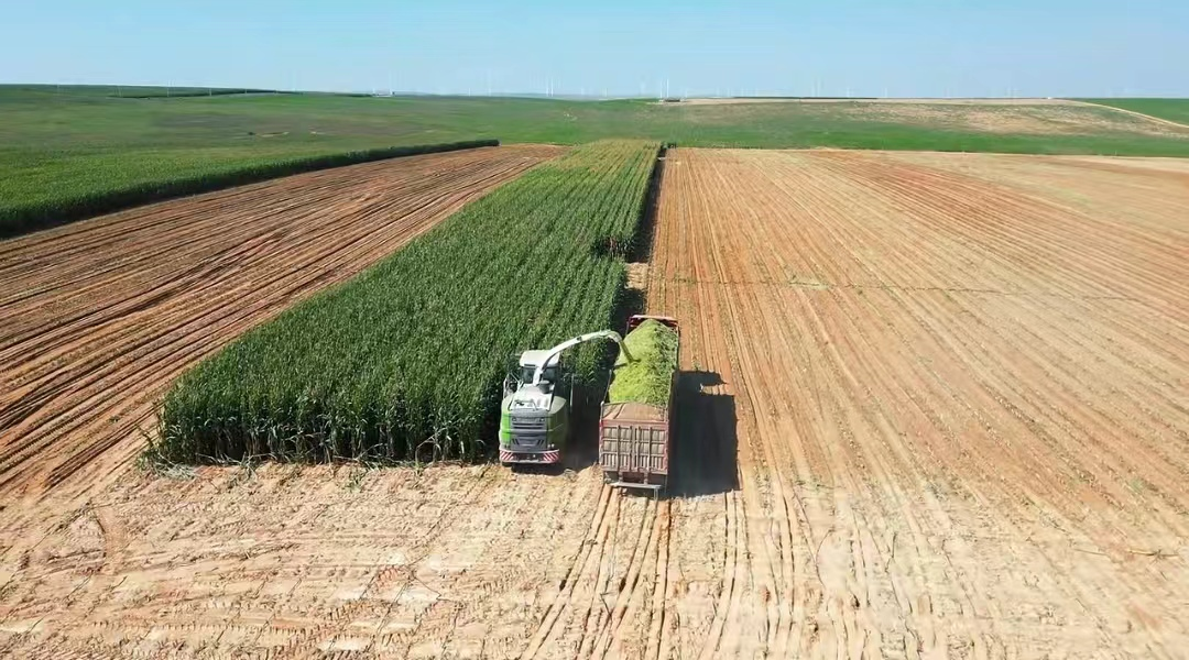 图片4.png 图片4.png