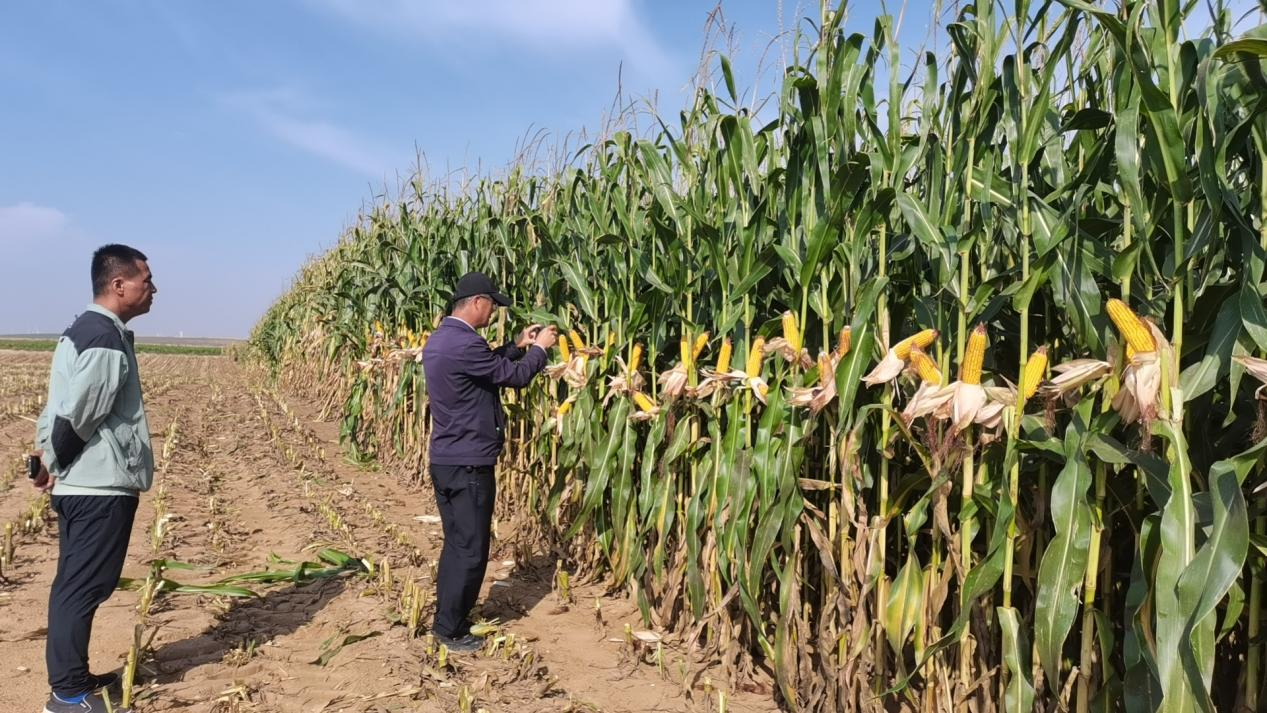 图片7.png 图片7.png