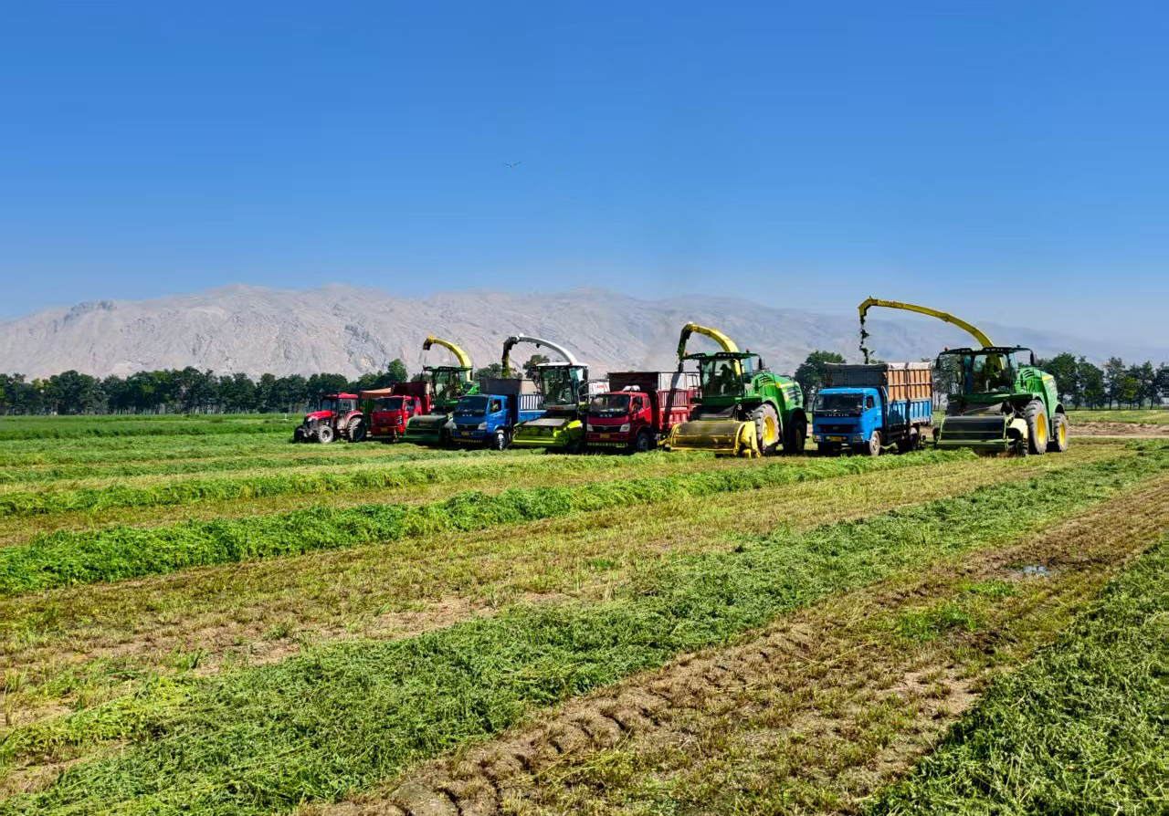 图片2.jpg 图片2.jpg