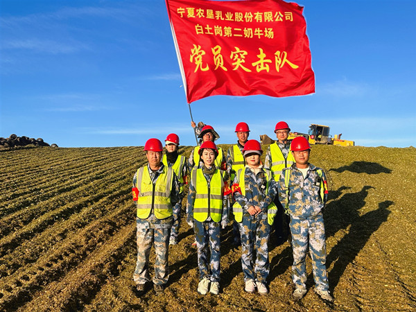 2.白土岗 二场党员突击队.jpg