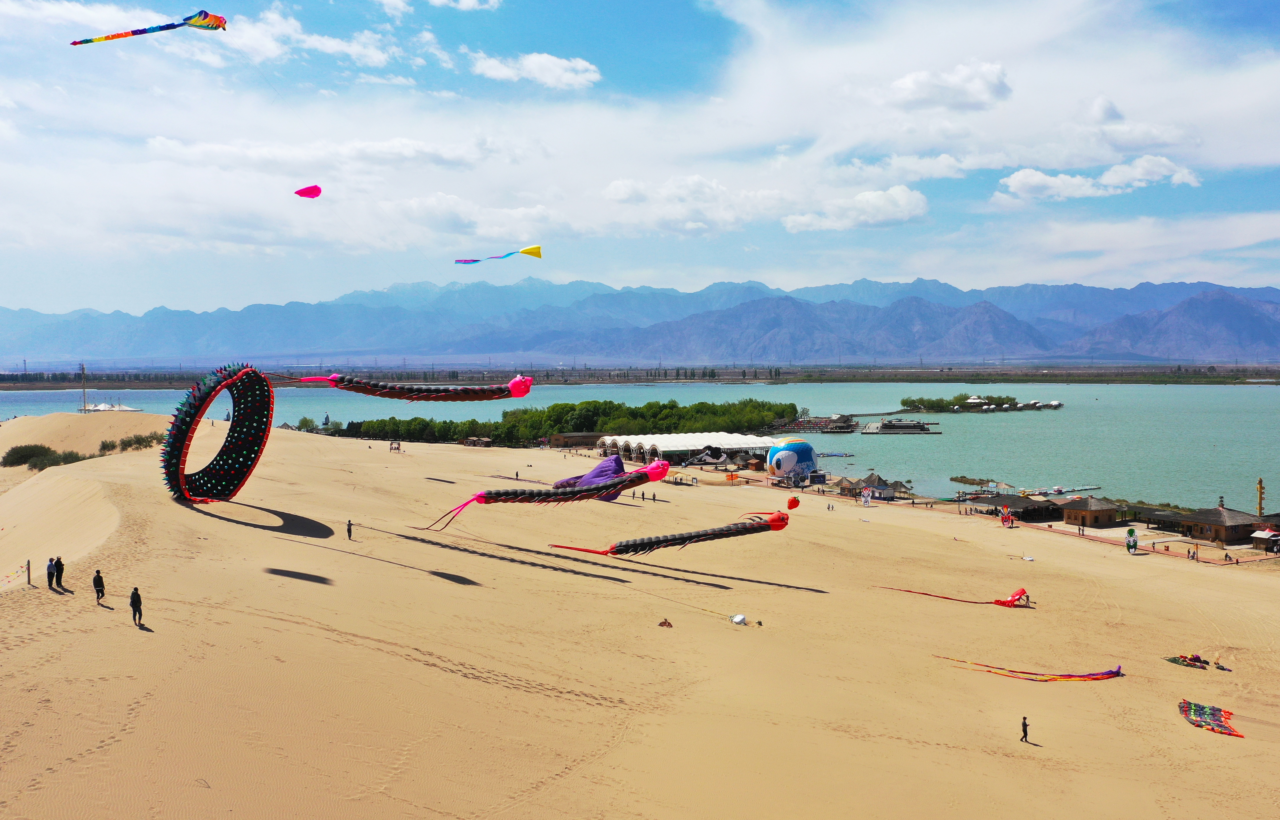 DJI_0319 拷贝.jpg