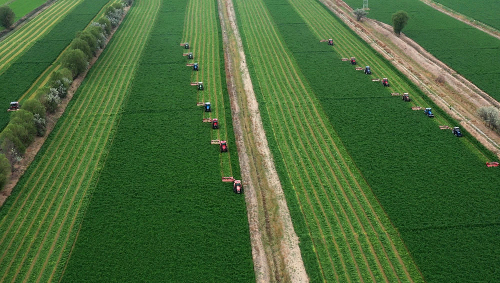 微信图片_20220530195446.jpg 微信图片_20220530195446.jpg