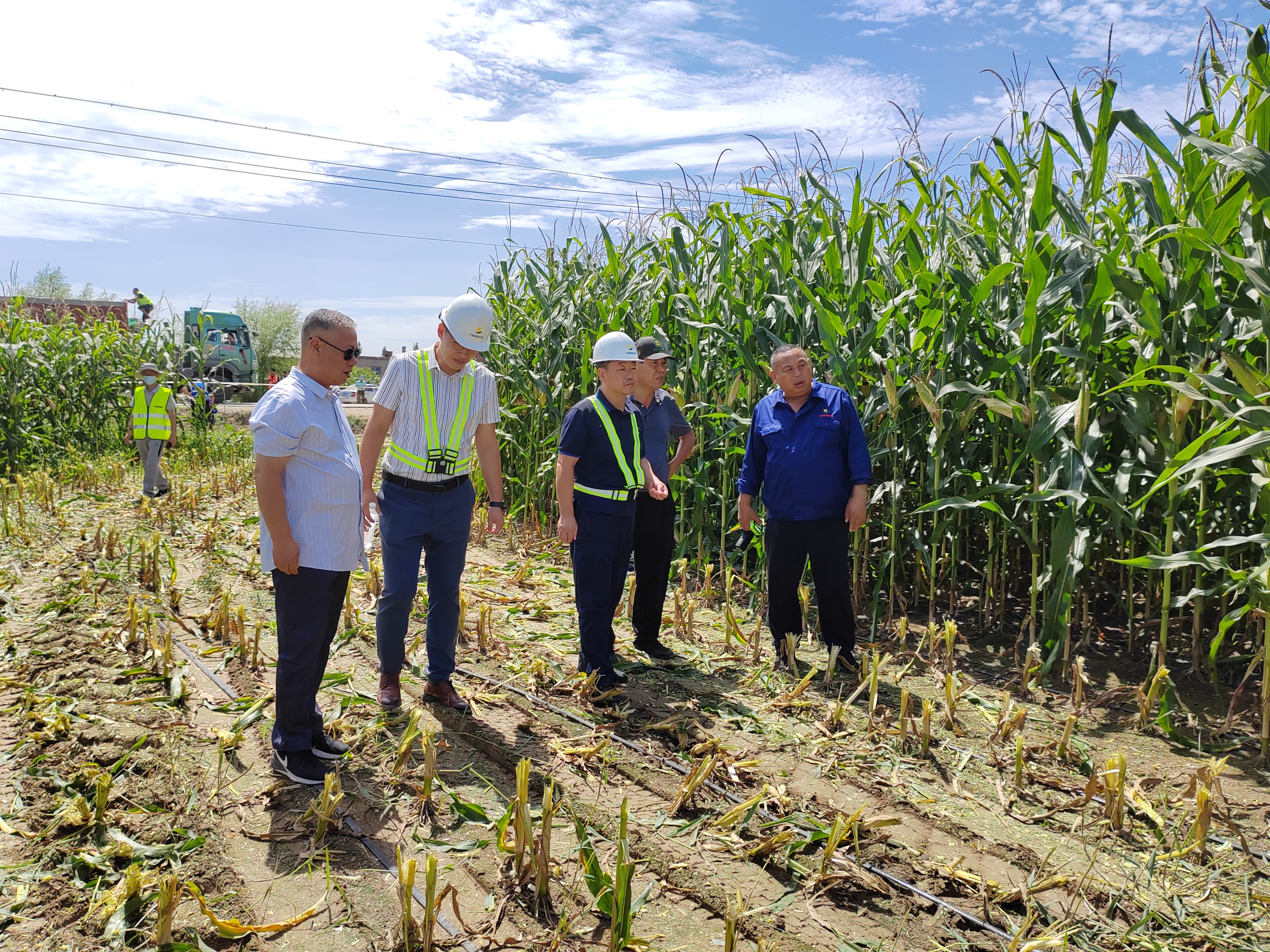 现场指导收储作业.jpg 现场知道收储作业.jpg