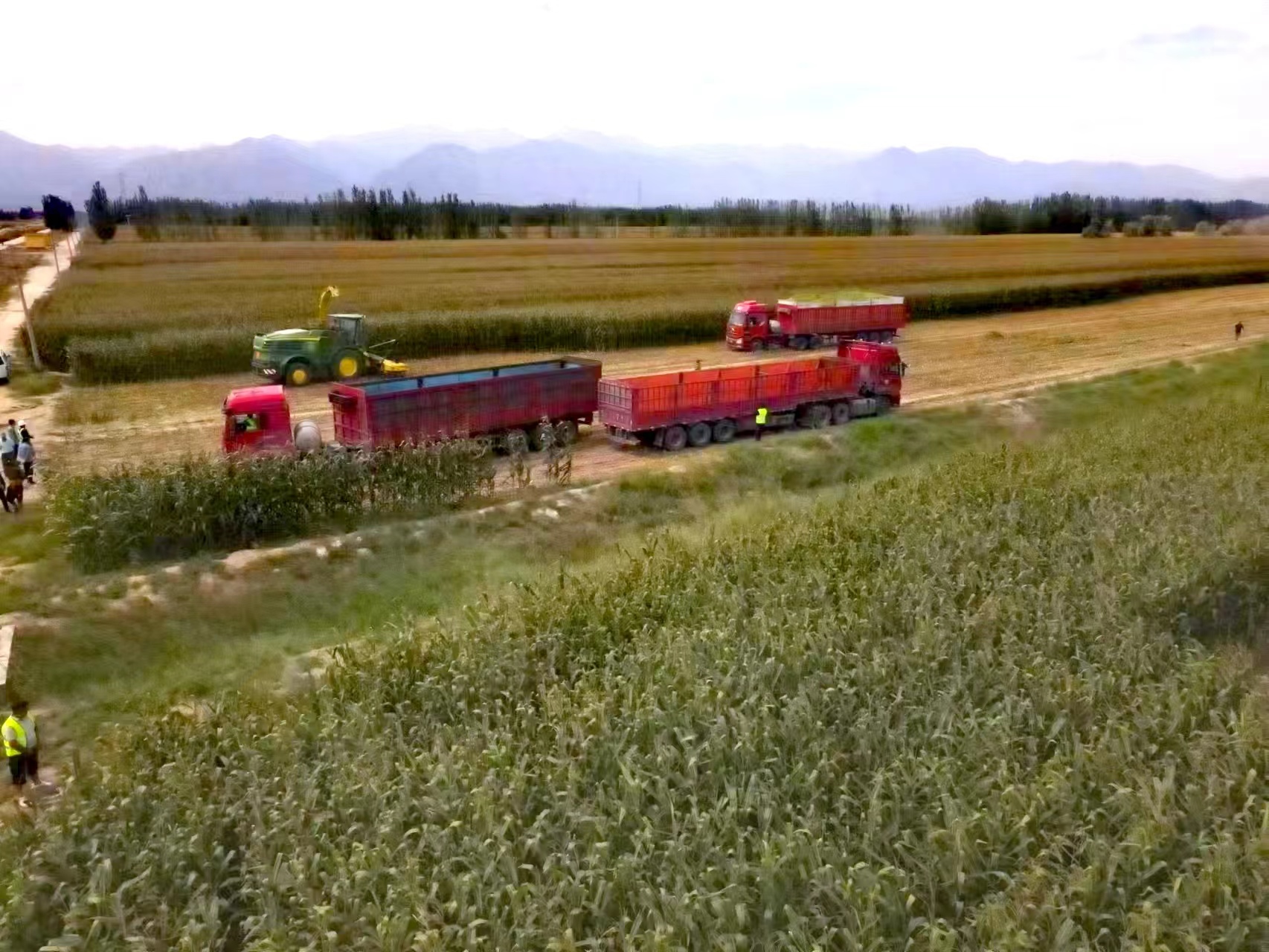 田间收储作业3.jpg 田间收储作业3.jpg