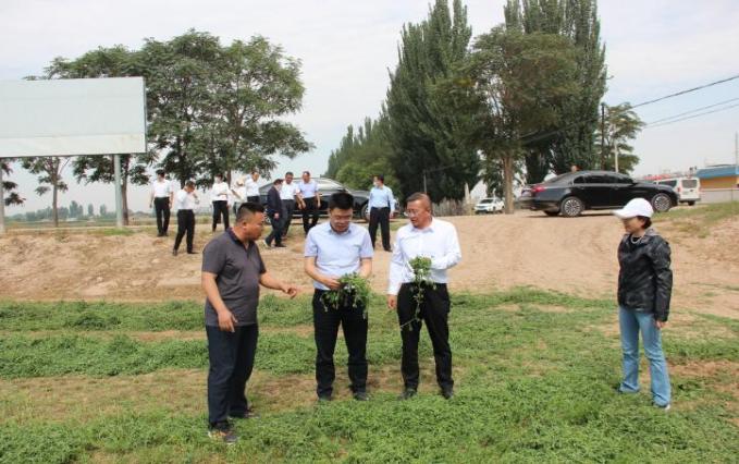 proxy (9).jpg proxy (9).jpg