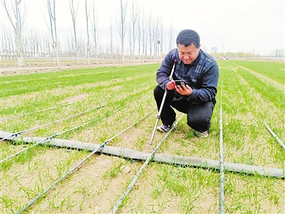 <p> 谭振龙通过手机App查看土壤墒情。</p>