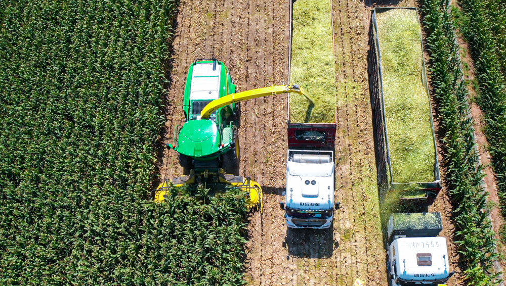 微信图片_20240826002956.png 微信图片_20240826002956.png